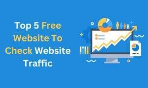 Website To Check Website Traffic